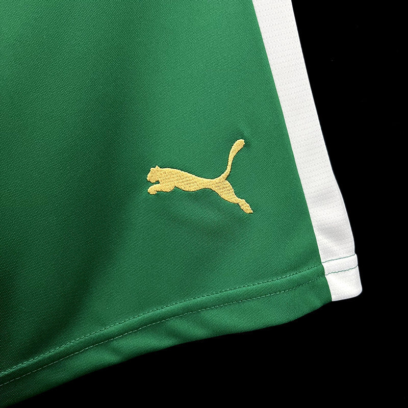 Pantalón corto Palmeiras Verde 2024/2025