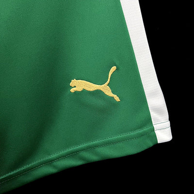 Pantalón corto Palmeiras Verde 2024/2025