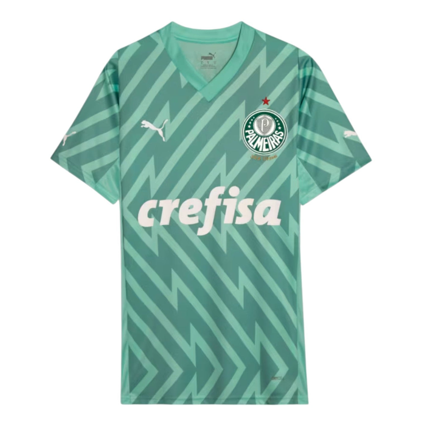 Camiseta Palmeiras Portero III 2024/2025