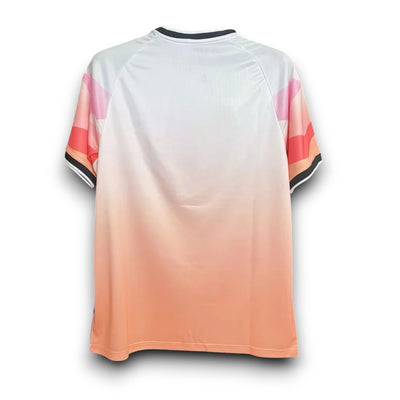 Camiseta de edición especial de colores de Japón 2024