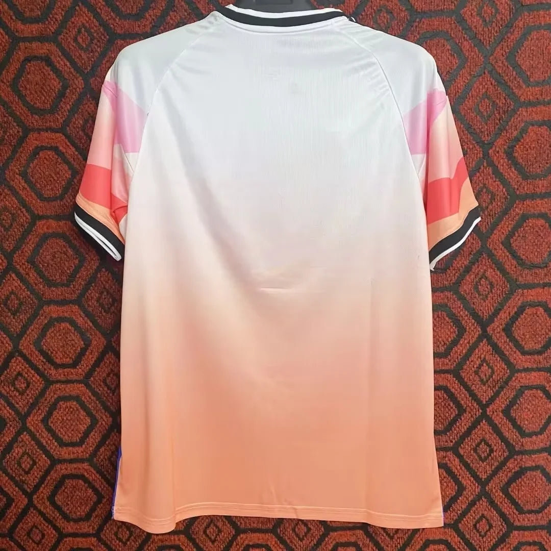 Camiseta de edición especial de colores de Japón 2024