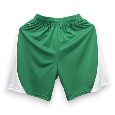 Pantalón corto Palmeiras Verde 2024/2025