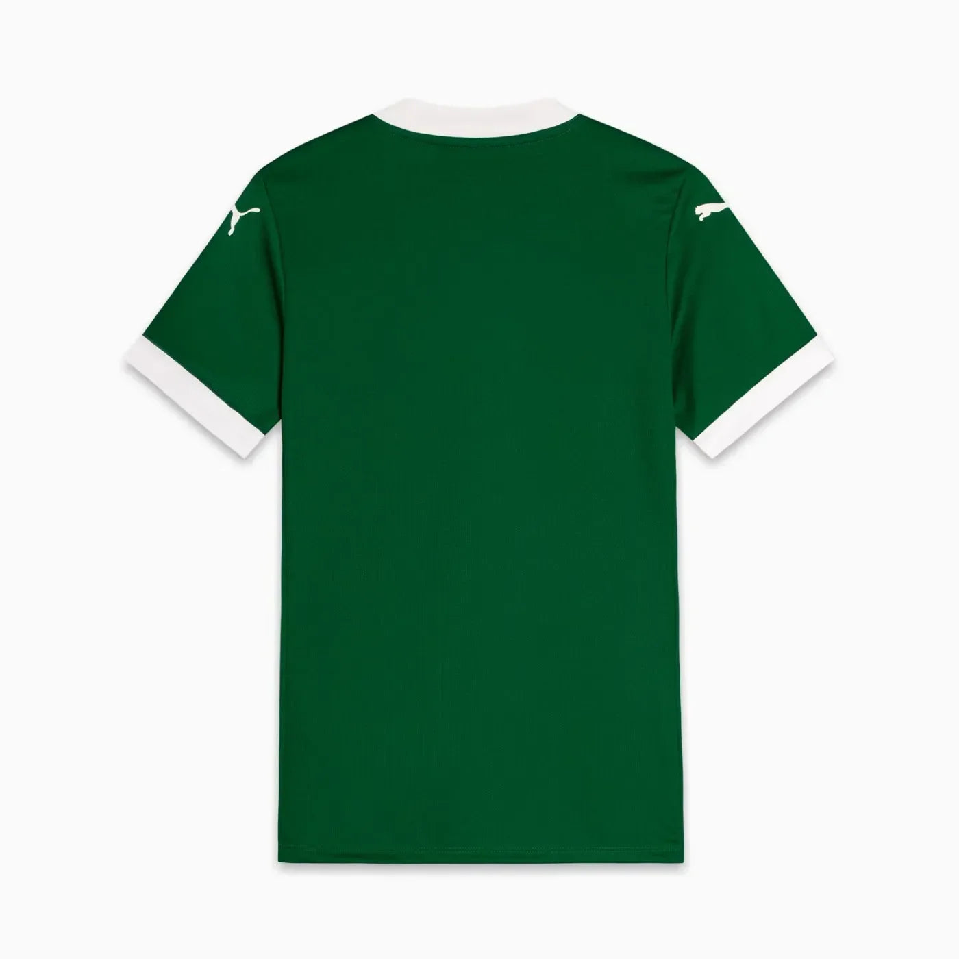 Palmeiras 25/26 I Jersey - Women's