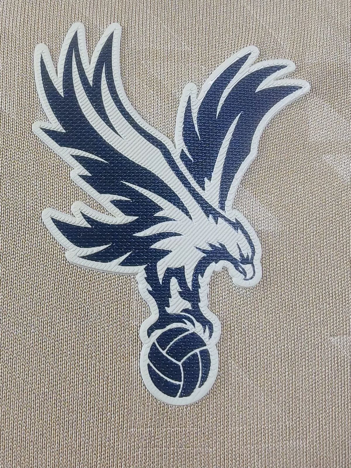 Crystal Palace III 25/26 Version Player