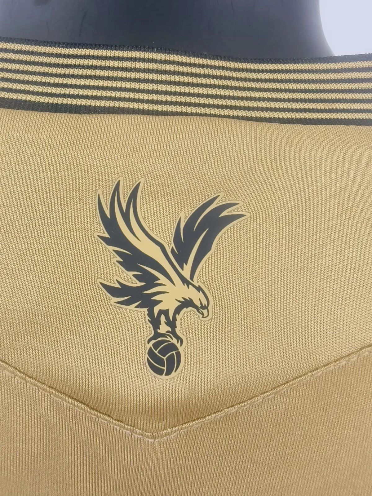 Crystal Palace III 25/26 Version Player