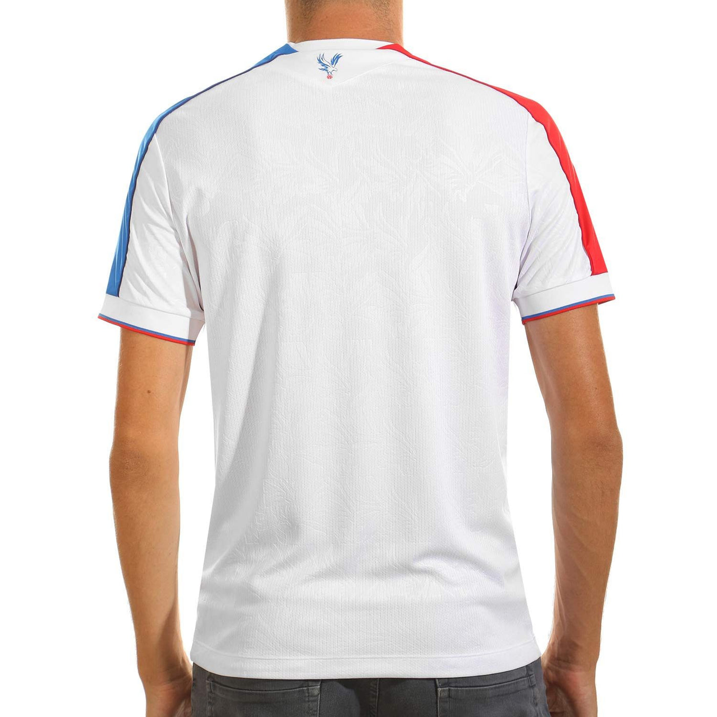 Crystal Palace II 25/26 Version Fan