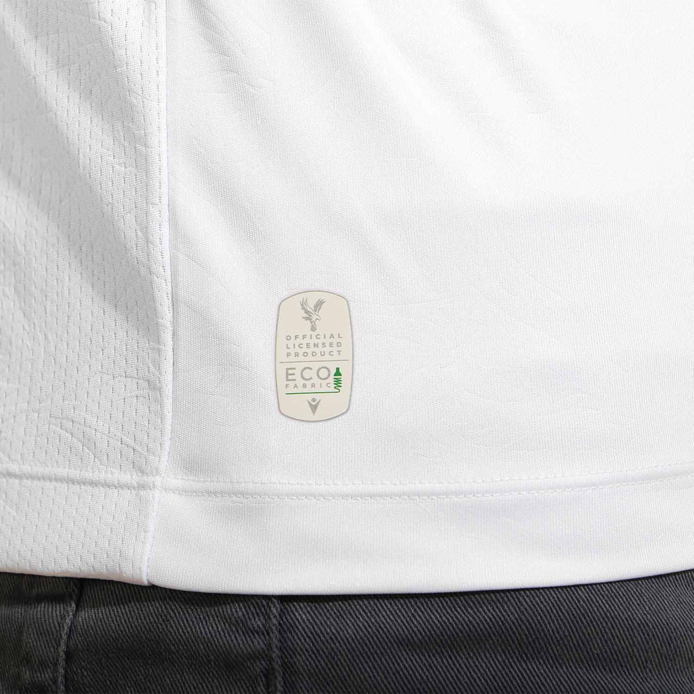 Crystal Palace II 25/26 Version Fan