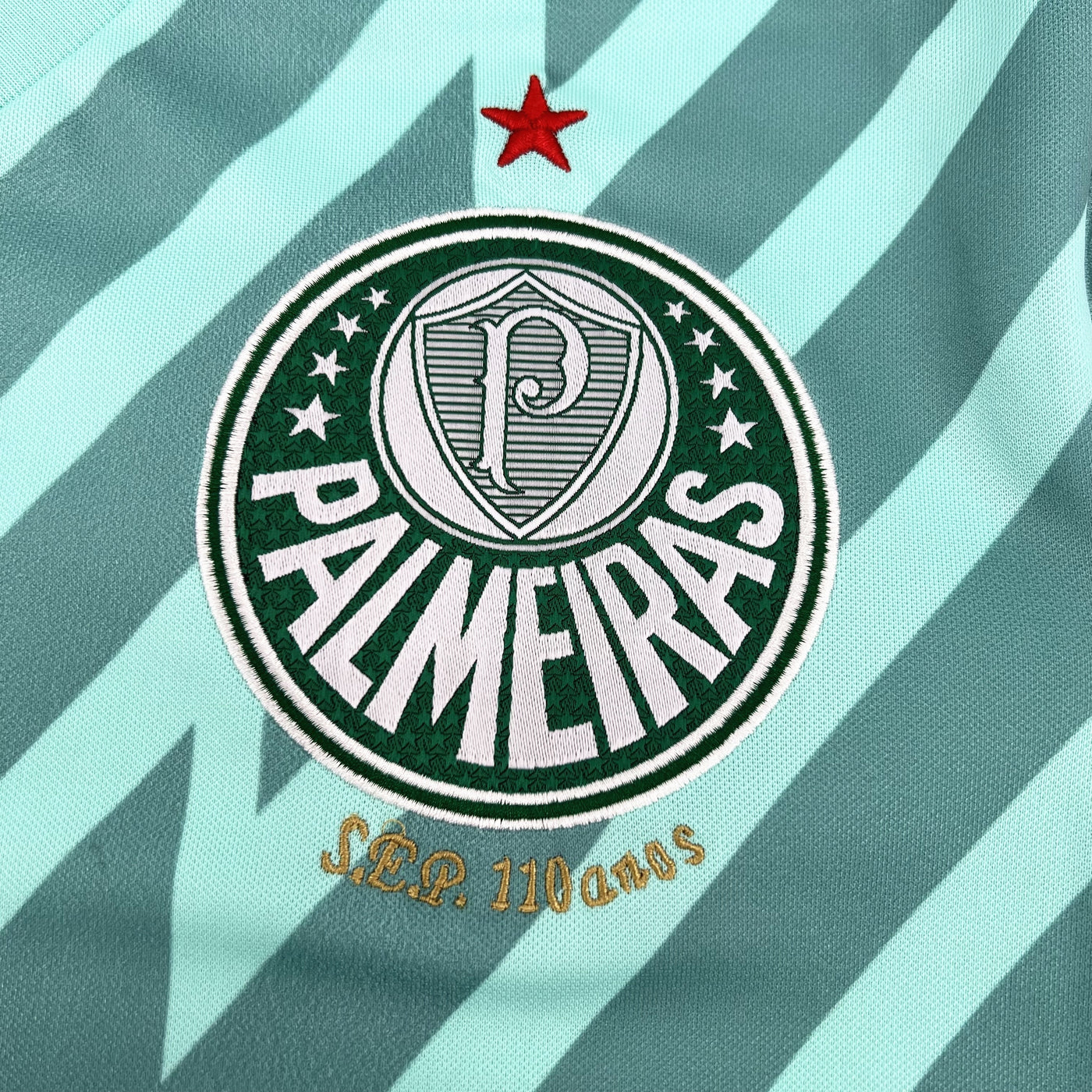 Camiseta Palmeiras Portero III 2024/2025