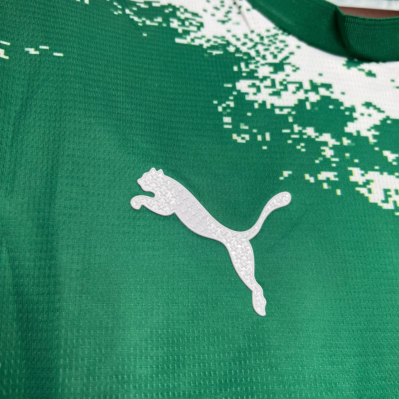 Camiseta Palmeiras Edición Especial II 2024/2025