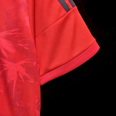 Camiseta retro del Flamengo 2014