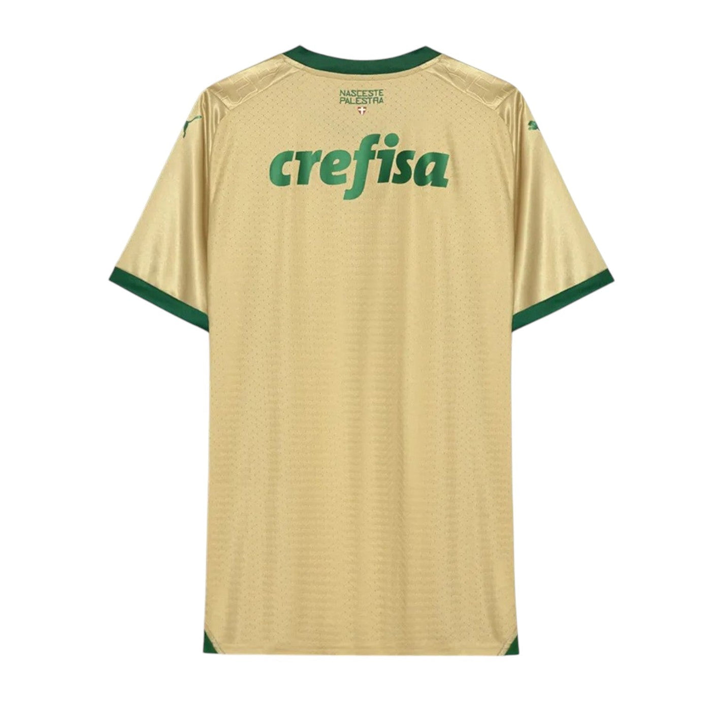 Camiseta Tercera Jugador Palmeiras 2024/2025
